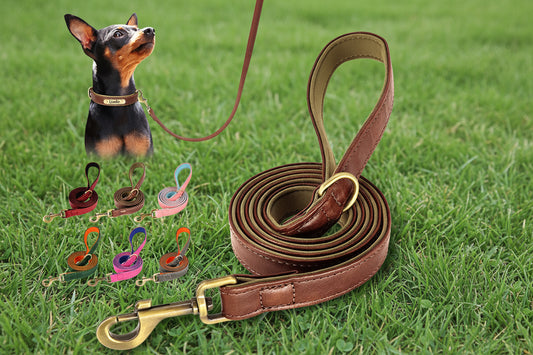 5 FT. Leather Leash