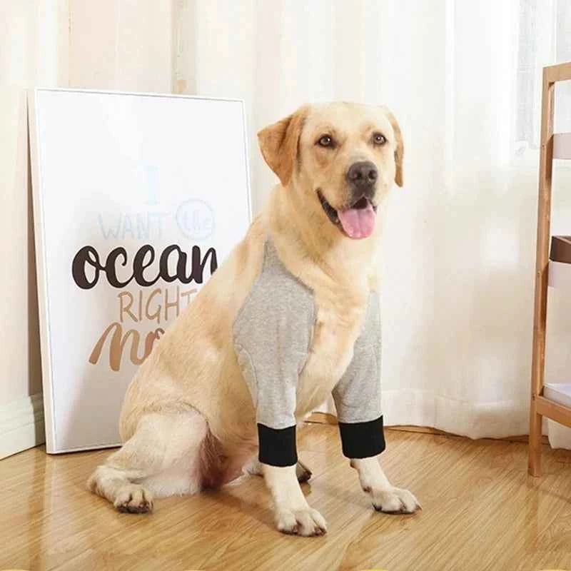 Pet Front Leg Recovery Sleeve
