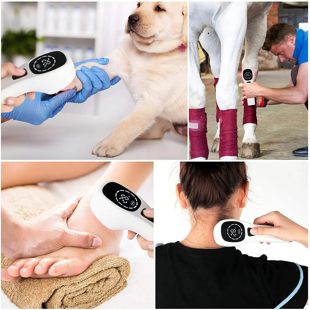 Pet Rehabilitation Therapy Device - Waggy World
