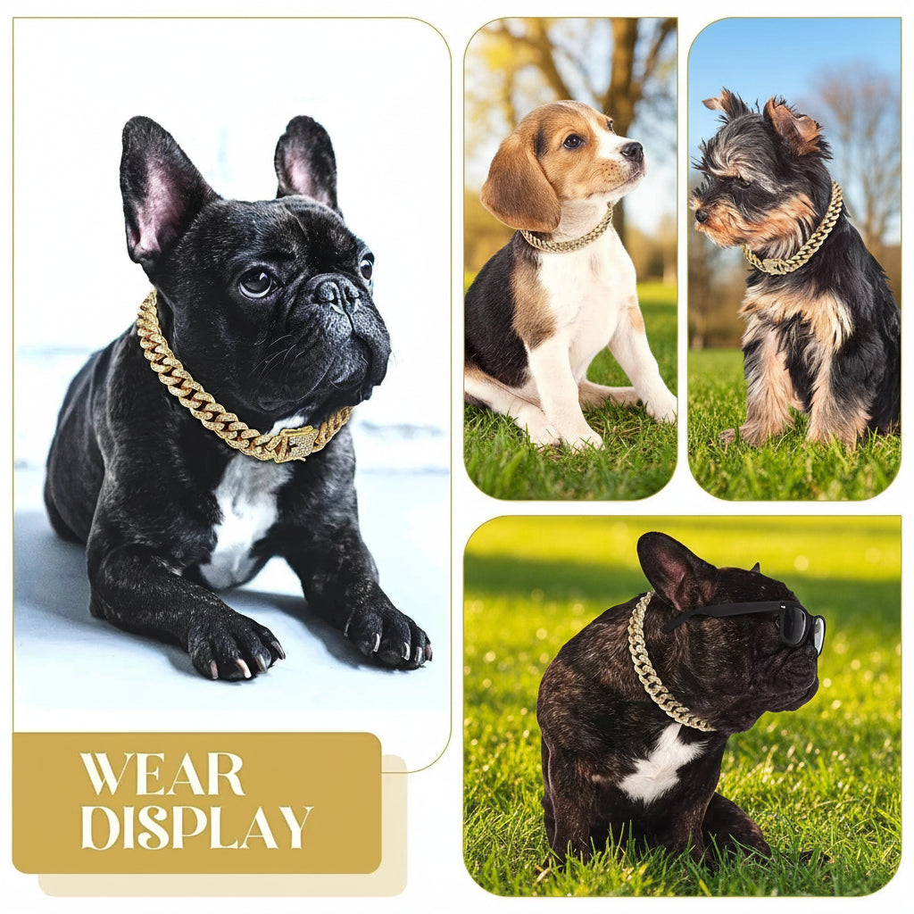 Gold Plated Pet Cuban link