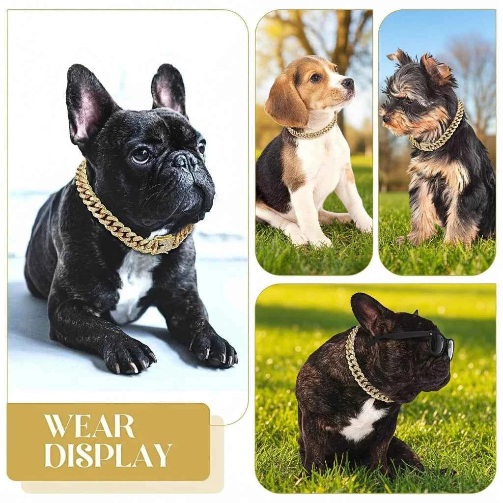 Gold Plated Pet Cuban link