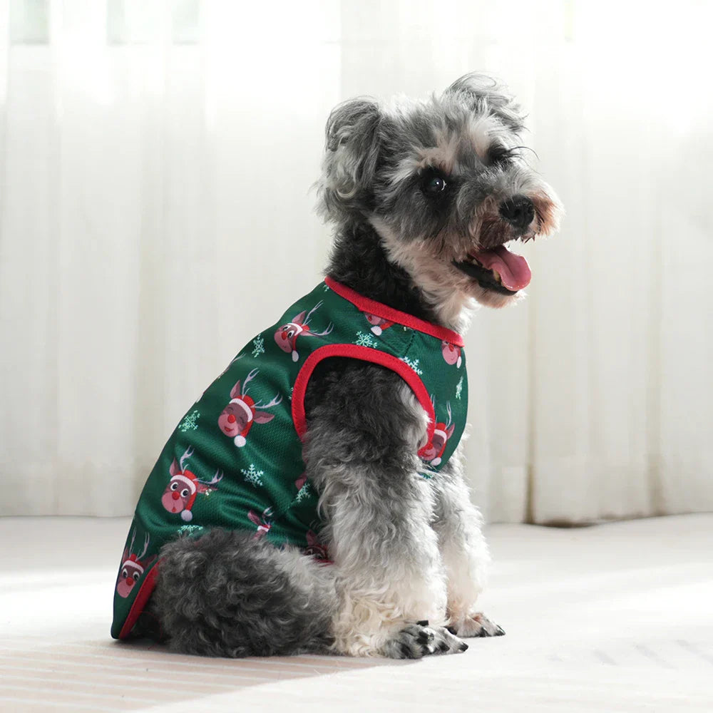 Pet Holiday Shirts