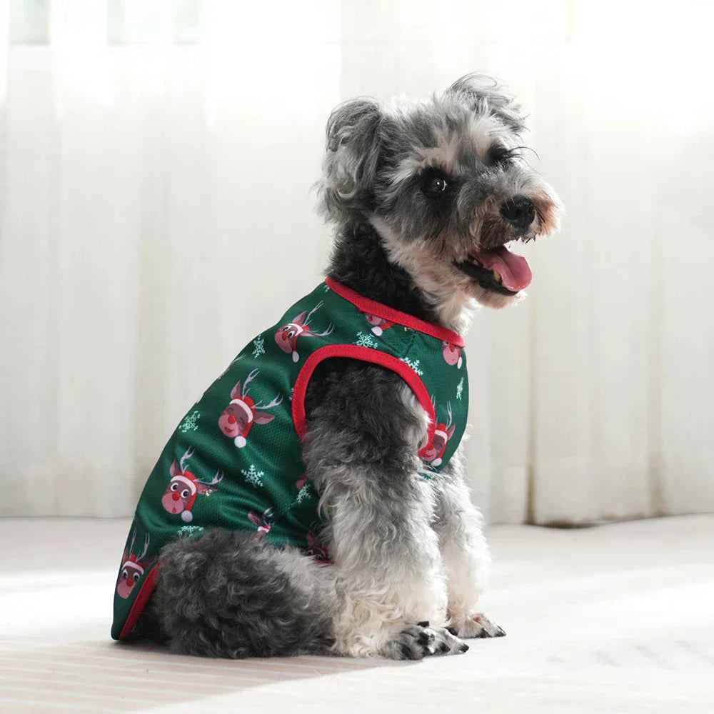 Pet Holiday Shirts