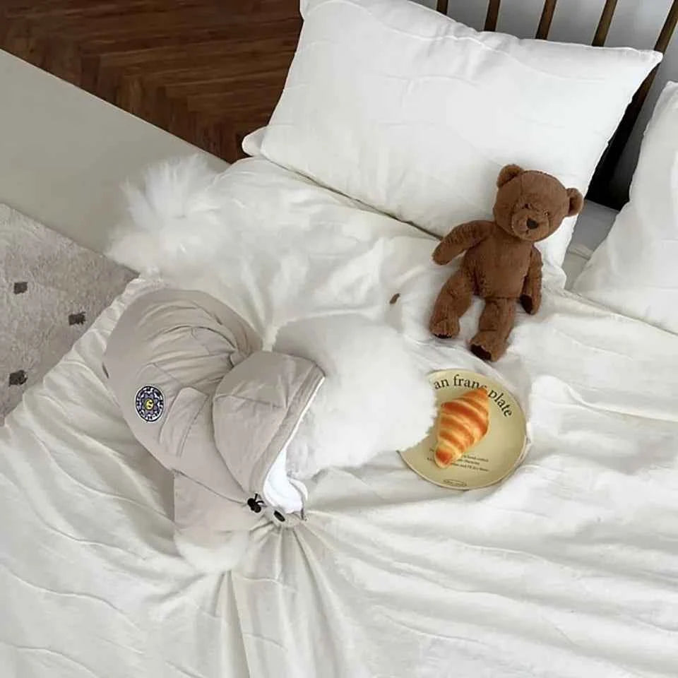 European Pet Jumper