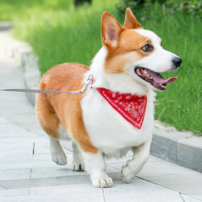 Cat And Dog Collar Triangle Scarf