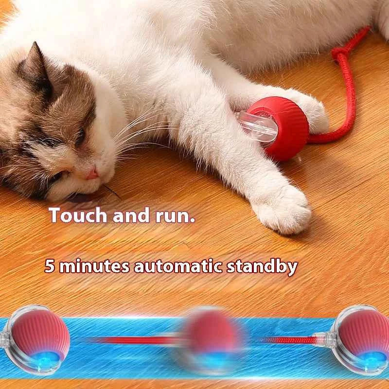 Automatic Rolling Ball