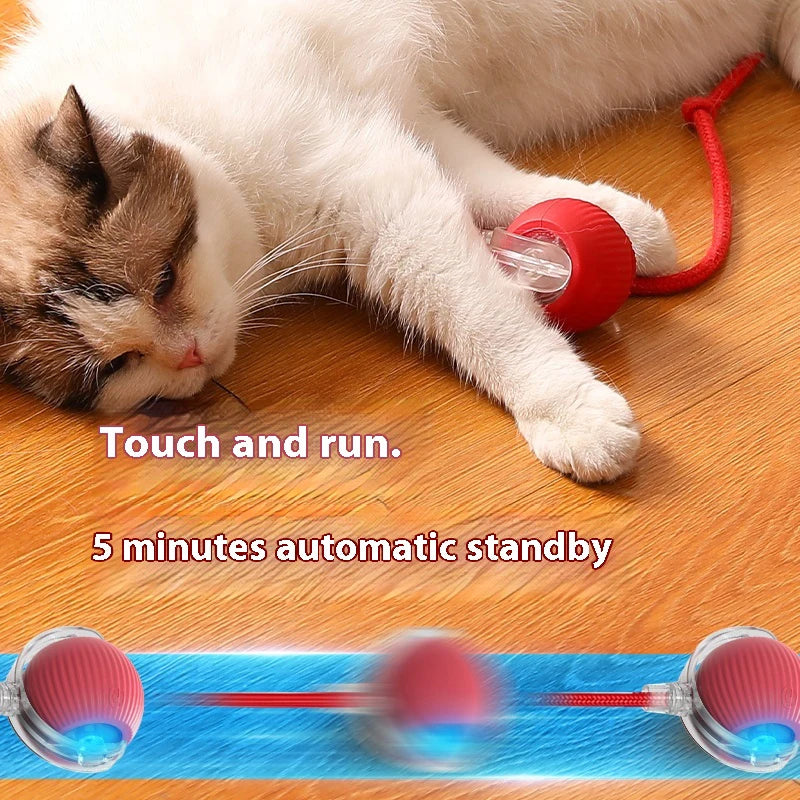 Automatic Rolling Ball