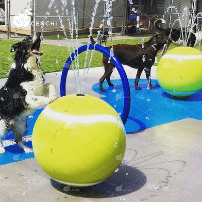 Pet Training System