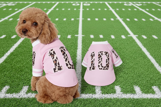 Pet Jersey #10