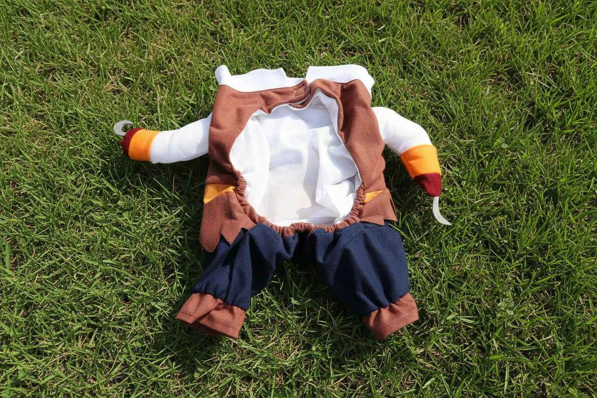 Pet Pirate Costume