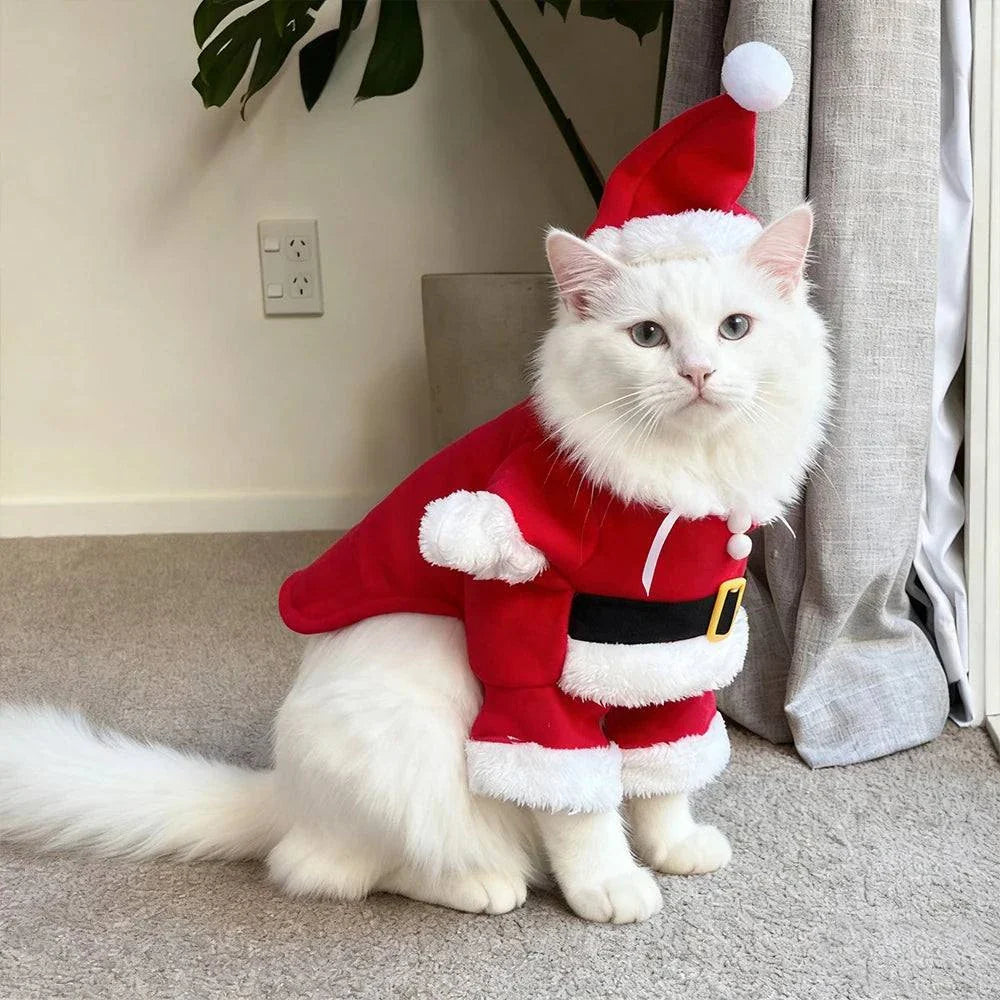 Cat Holiday Santa Suit