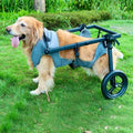 Pet Rehabilitation Mobility Cart - Waggy World