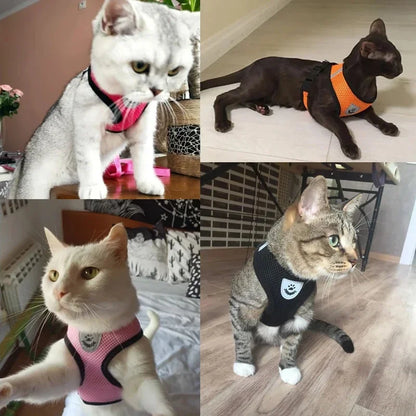 Kitty Harness Vest