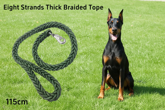 Large Breed Nylon Leash
