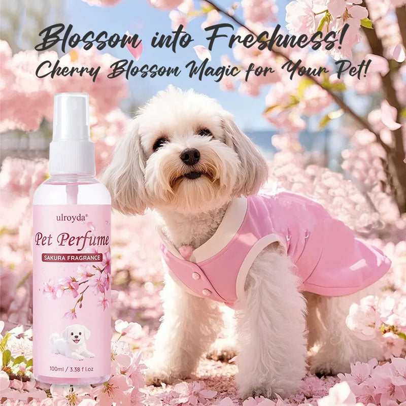 Pet Odor Eliminator Spray (Coconut)