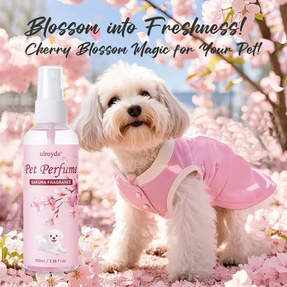 Pet Odor Eliminator Spray (Coconut)