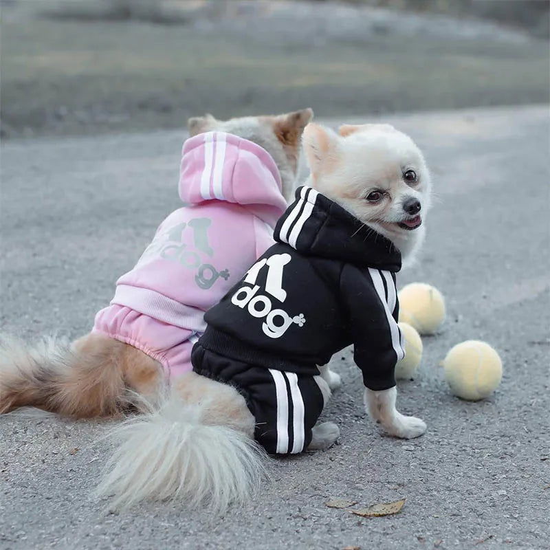 Doggy Sweat suit
