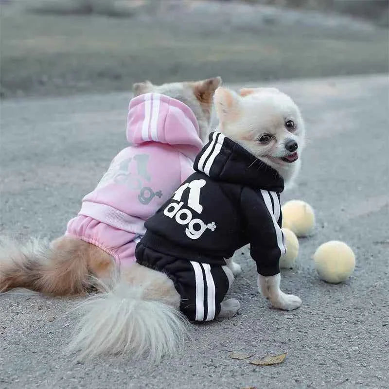 Doggy Sweat suit