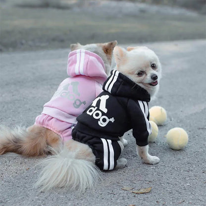 Doggy Sweat suit