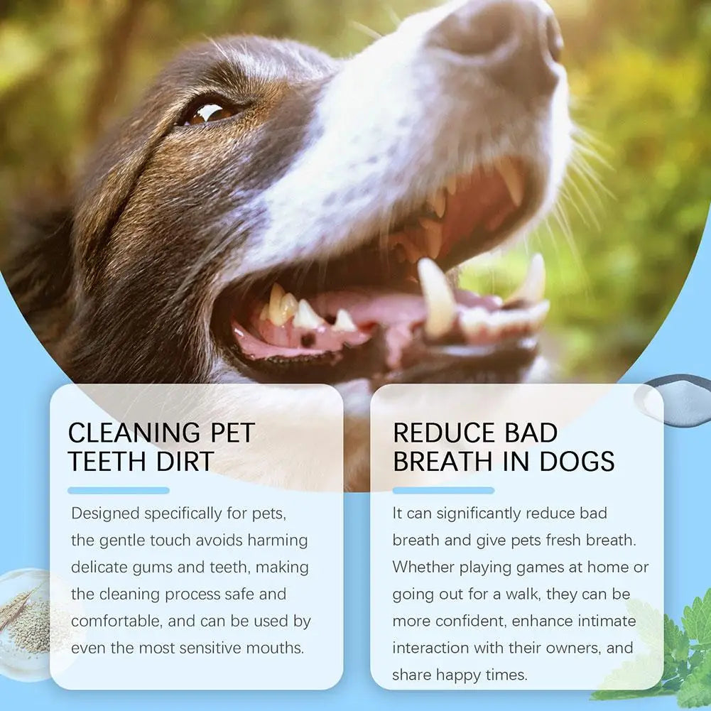 1pc Pet Toothbrush Pen