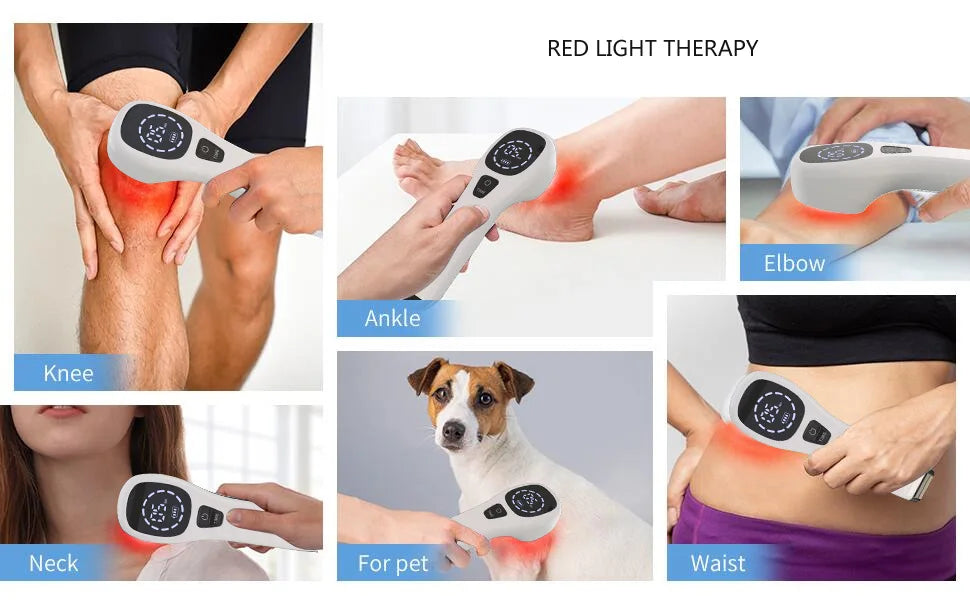 Pet Rehabilitation Therapy Device - Waggy World