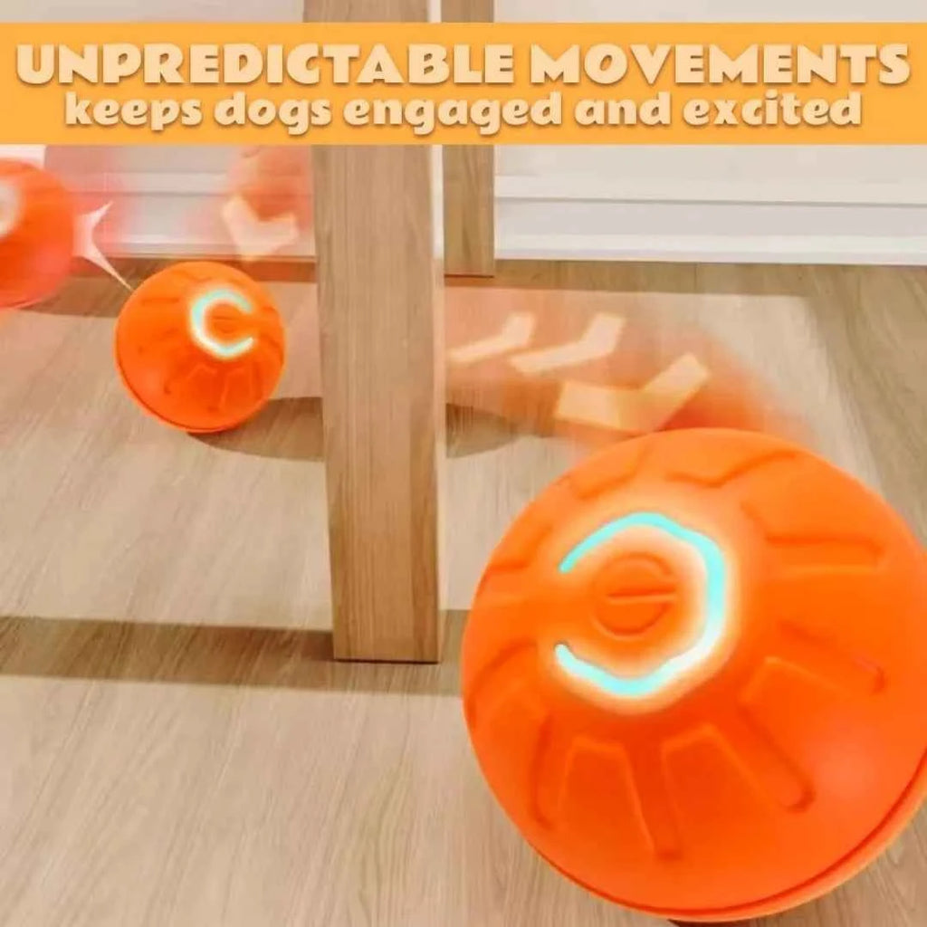 Pet Gravity Ball
