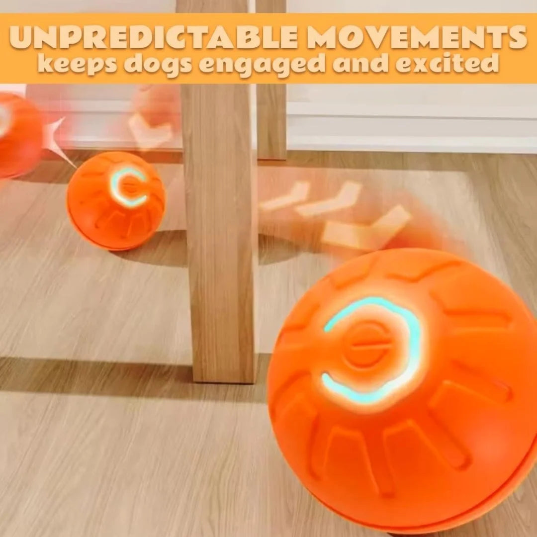 Pet Gravity Ball