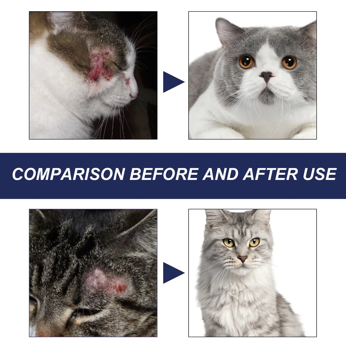 Pet Skin Repair Cream - Waggy World