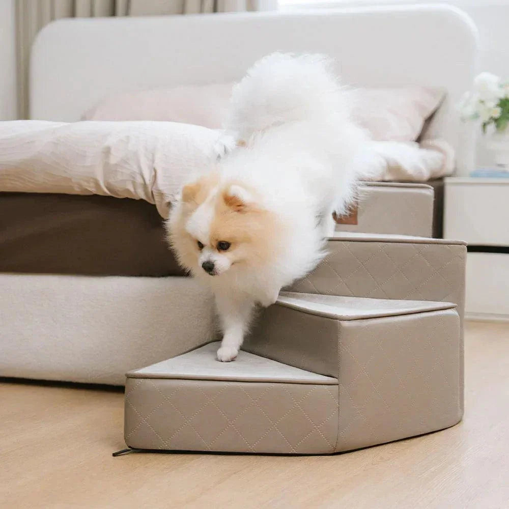 Pet Spiral Staircase
