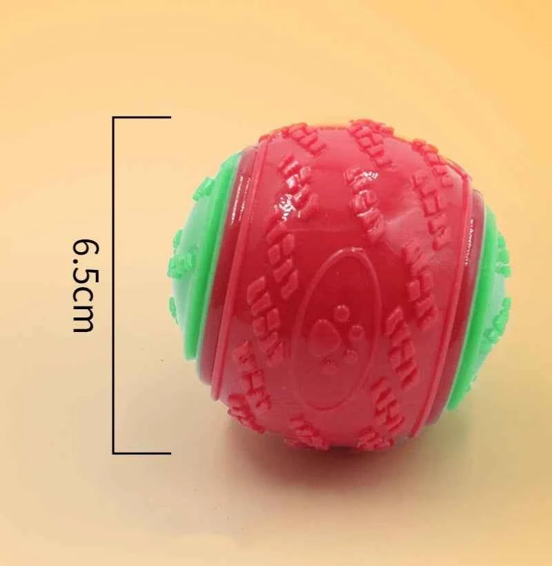 Pet Rubber Fetch Ball