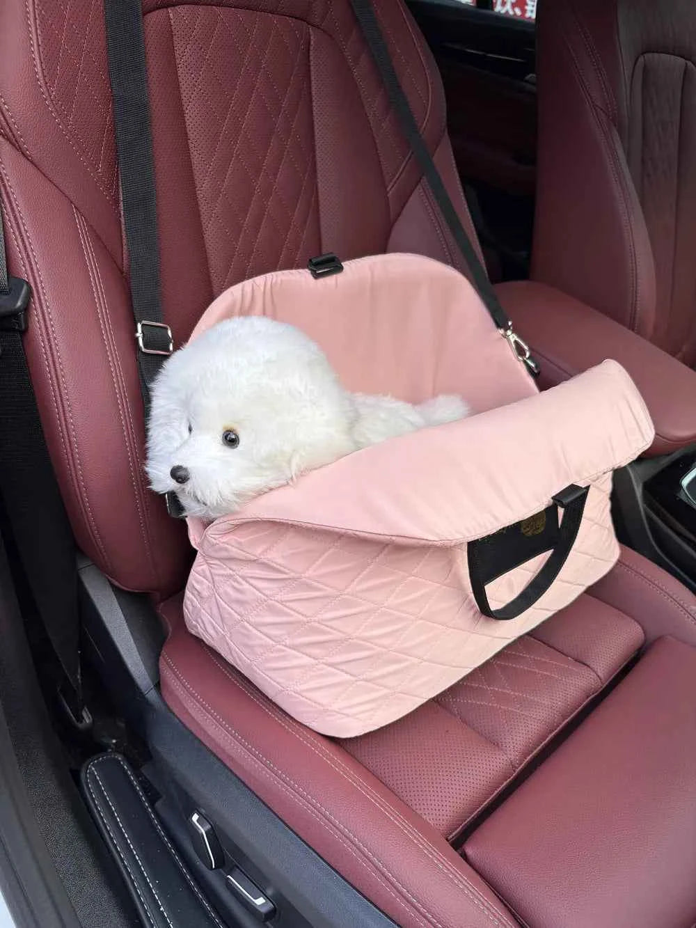 Pet Protection Travel Carrier