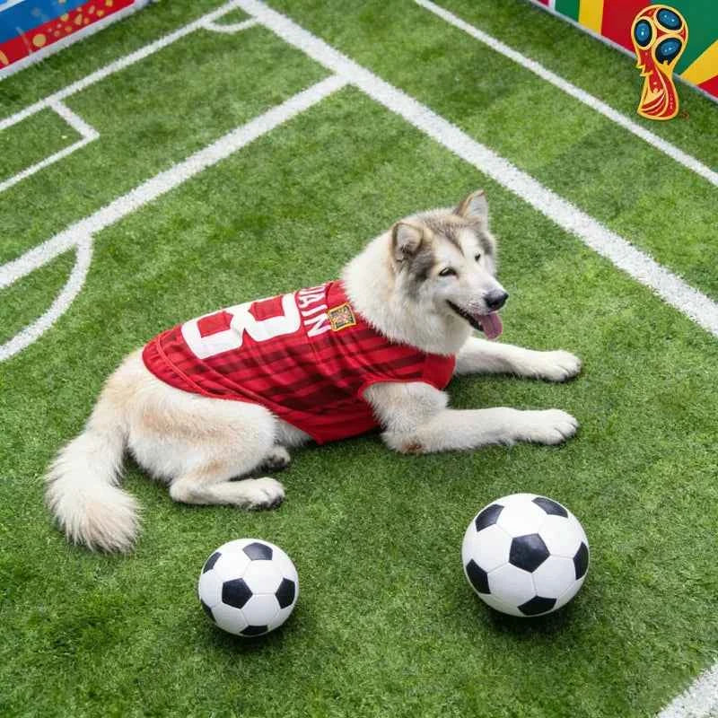 Pet Mesh Soccer Jersey