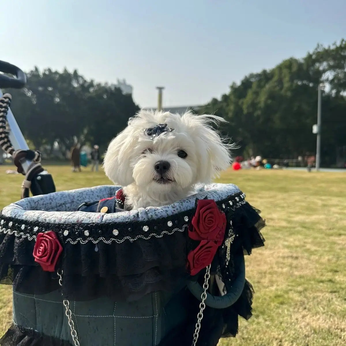 2026 Foldable Pet Stroller for Small Dogs & Cats - Waggy World