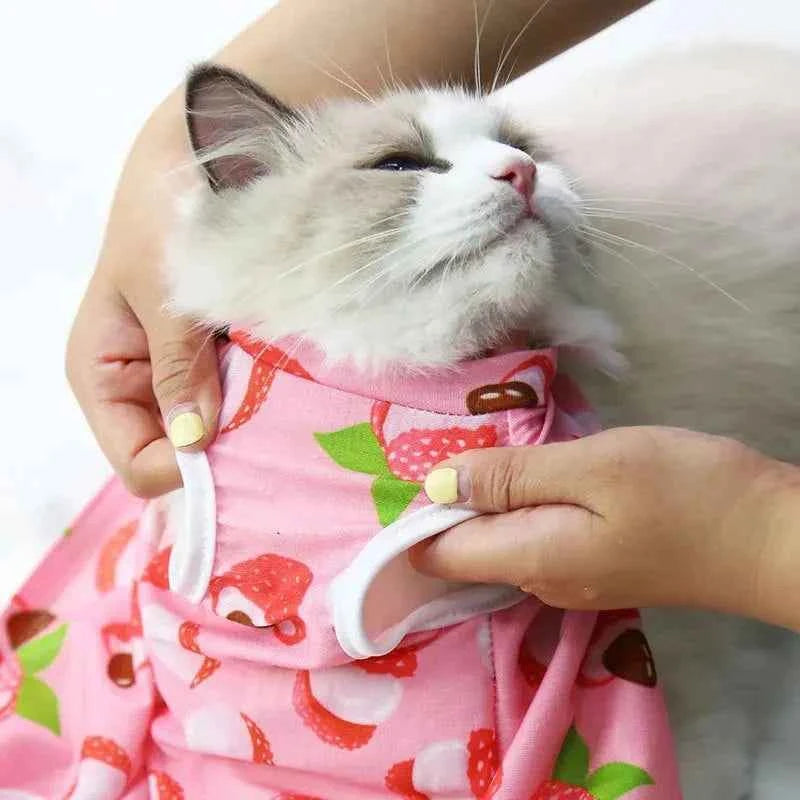 Kitty Recovery Pajamas