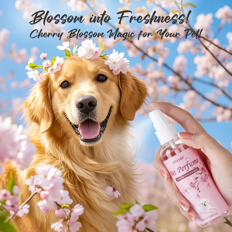 Pet Odor Eliminator Spray (Coconut)