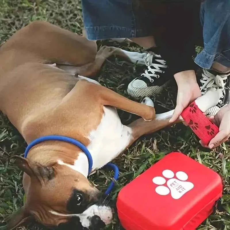 Portable Pet First Aid Kit: Essential Care for Your Furry Friends