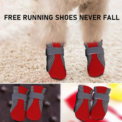 Pet Footsies