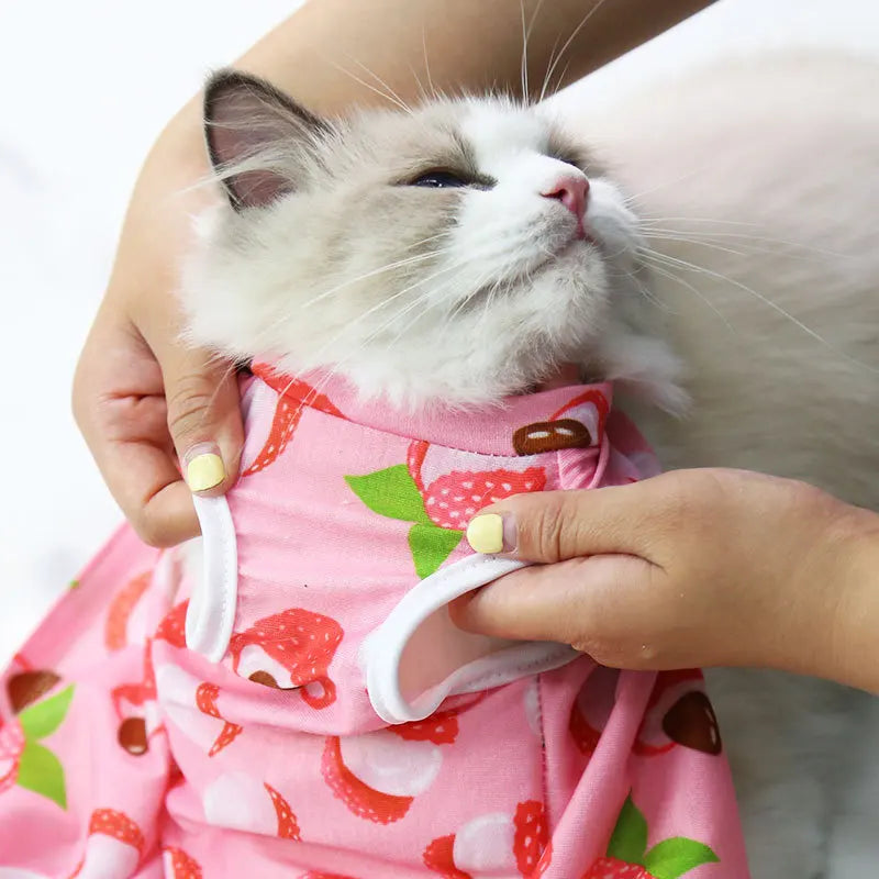 Cat Summer Shirt - Waggy World