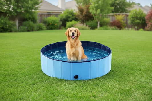 Foldable Pet Wading Pool