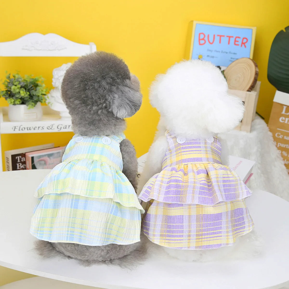 Summer Pet Skirts