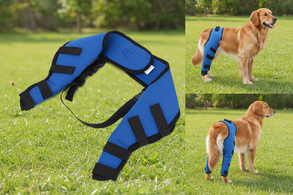 Small Breed Leg Brace