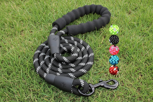 Large Breed Leash