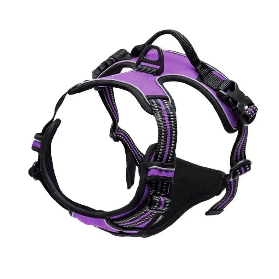 Dog Harness Collar & Leash Set Front View
