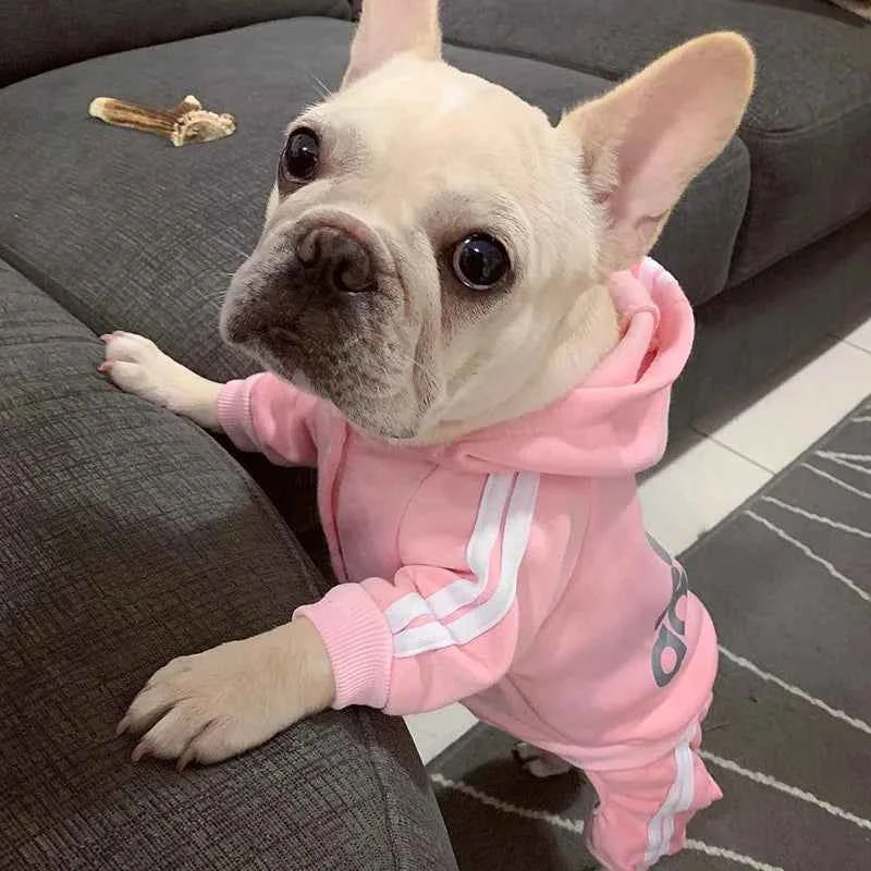 Doggy Sweat suit