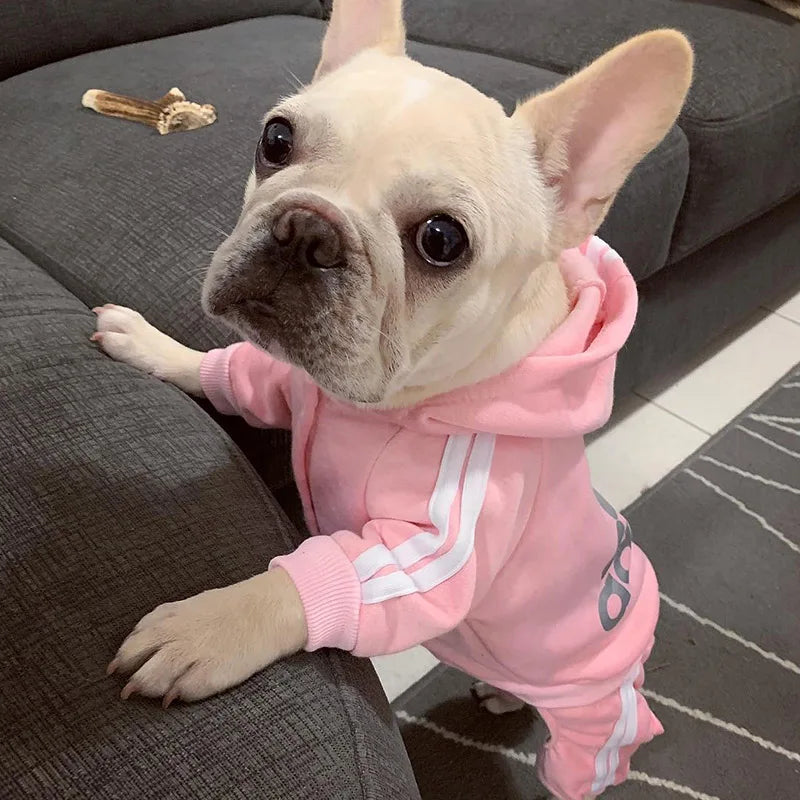 Doggy Sweat suit