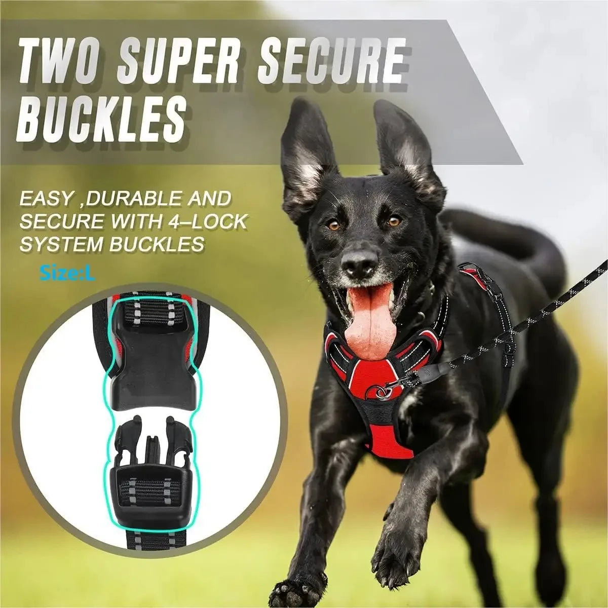 Dog Harness Collar & Leash Set for Small and Large Dogs