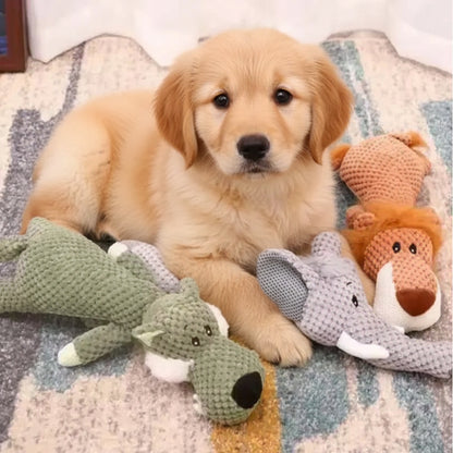 Plush Chew Toy