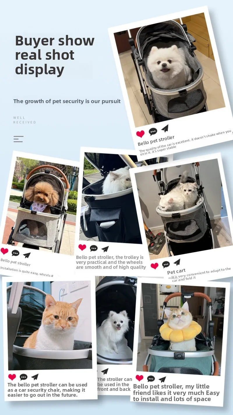 Foldable Pet Stroller for Dogs & Cats - Waggy World