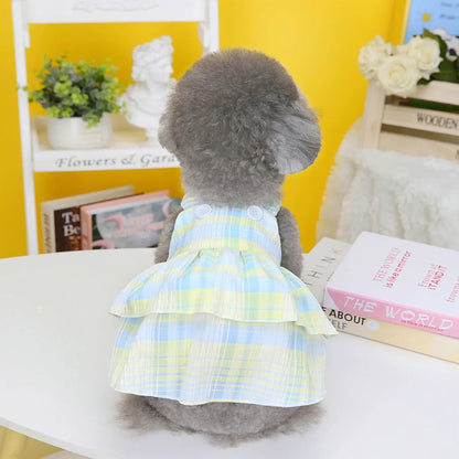 Summer Pet Skirts