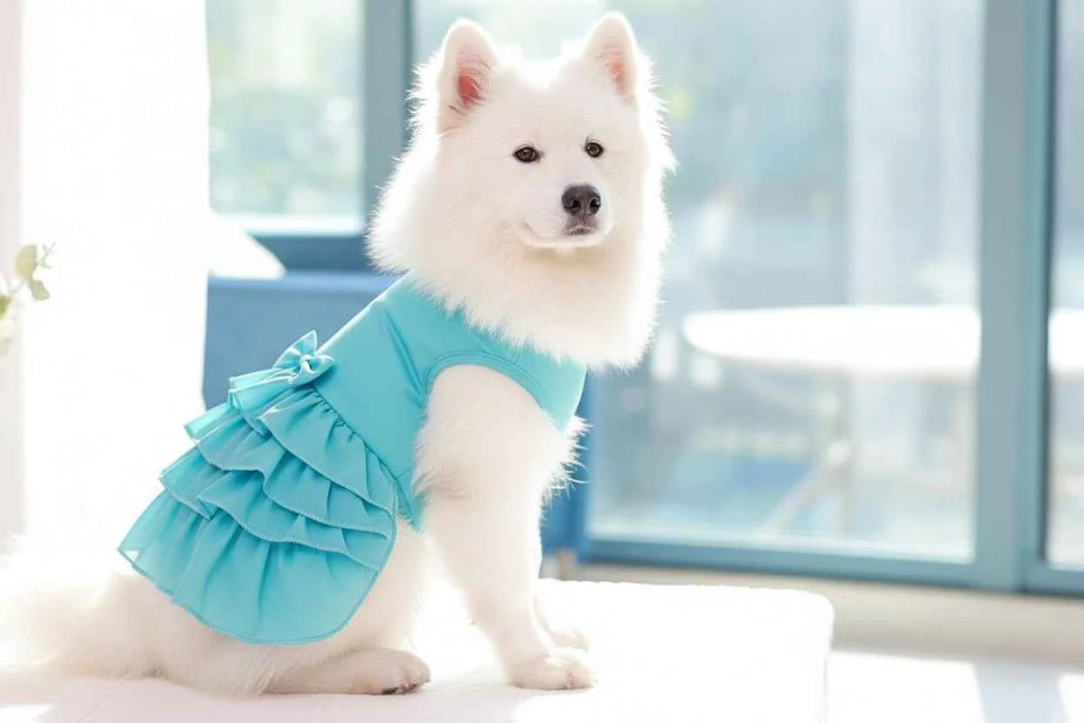 Small Pet Winter Puff Jacket